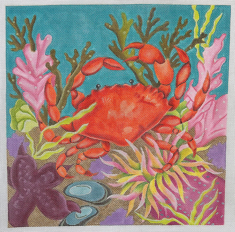 Coral Reef Crab by Amanda Lawford