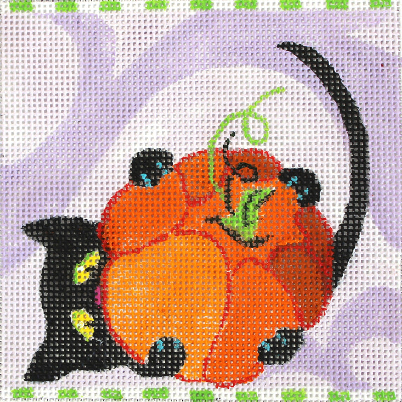 Black Cat Plays With Pumpkin