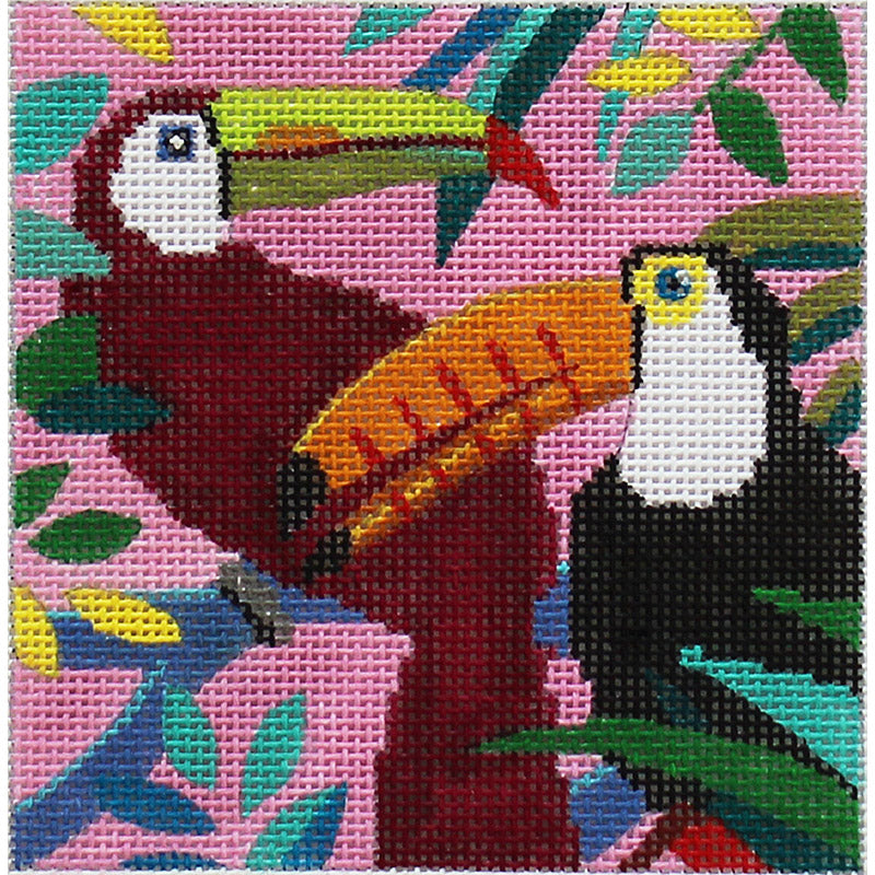Toucan by Colors of praise
